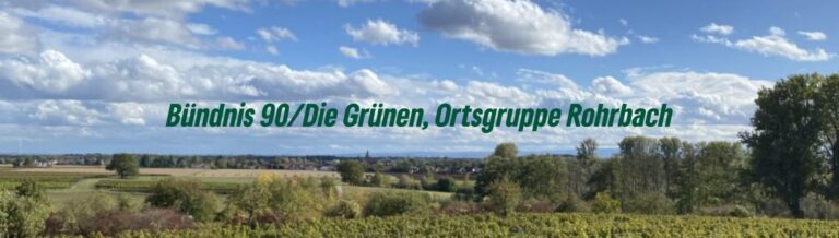 Internetseite der Rohrbacher Grünen online